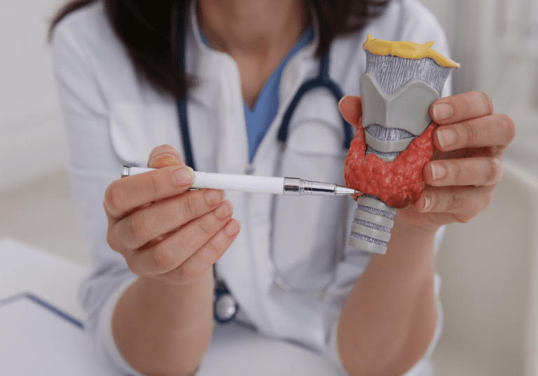 basics of the thyroid gland