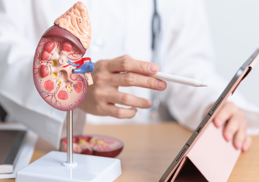 preventative measures for kidney stones