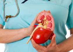 Diabetes and Kidney Health