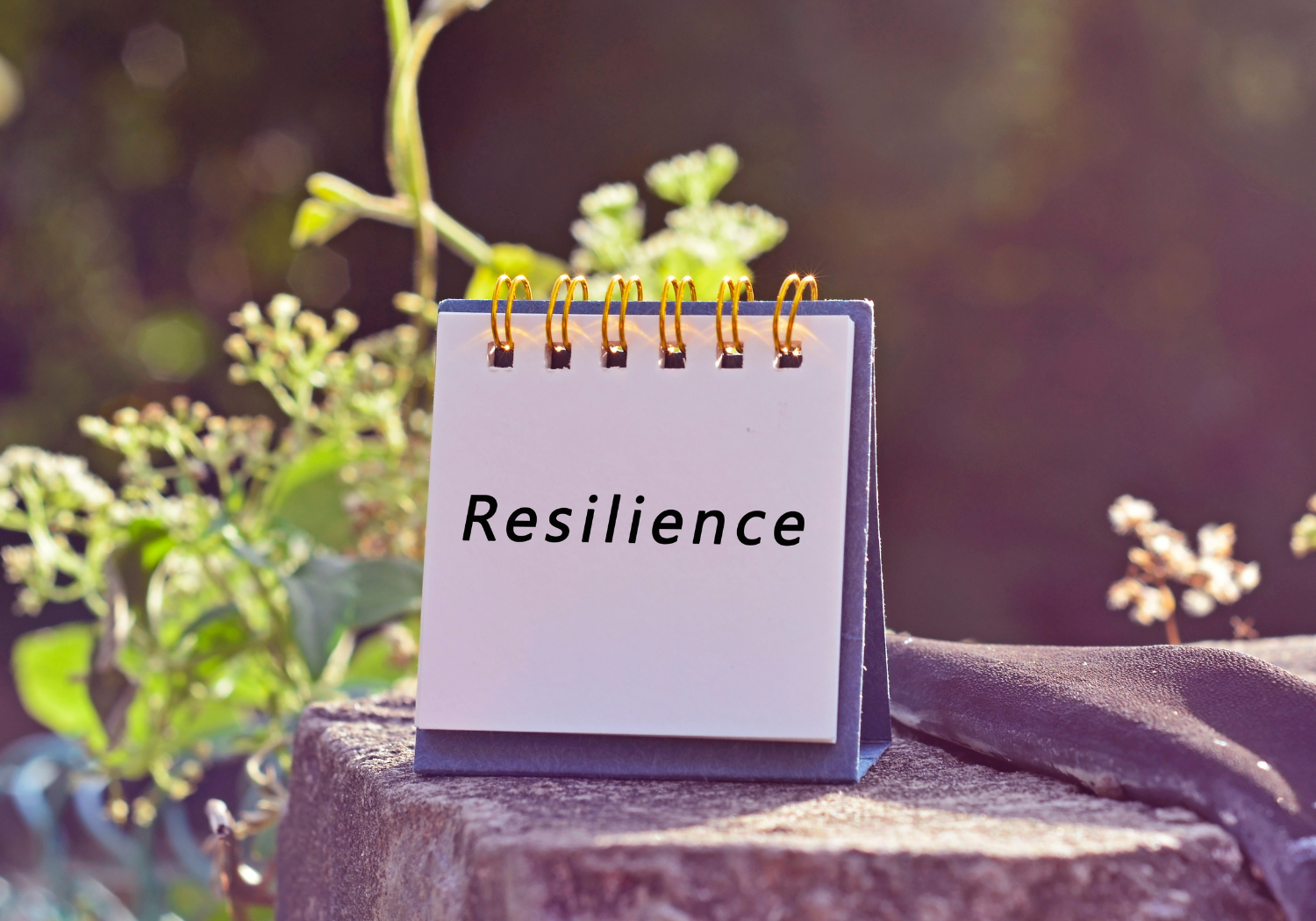 How Self-Reflection Builds Resilience 7 Ways to Strengthen Your Inner Strength